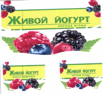 Товарный знак № 63349 «ЖИВОЙ ЙОГУРТ ЛЕСНЫЕ ЯГОДЫ ЖИВОЙ ЙОГУРТ …»