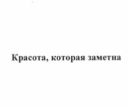 Товарный знак № 63336 «Красота, которая заметна»