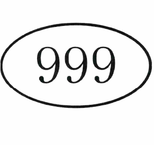 Товарный знак № 63665 «999»
