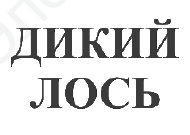 Товарный знак № 64552 «ДИКИЙ ЛОСЬ»