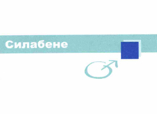 Товарный знак № 66142 «Силабене»