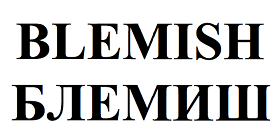 Товарный знак № 68447 «BLEMISH БЛЕМИШ»