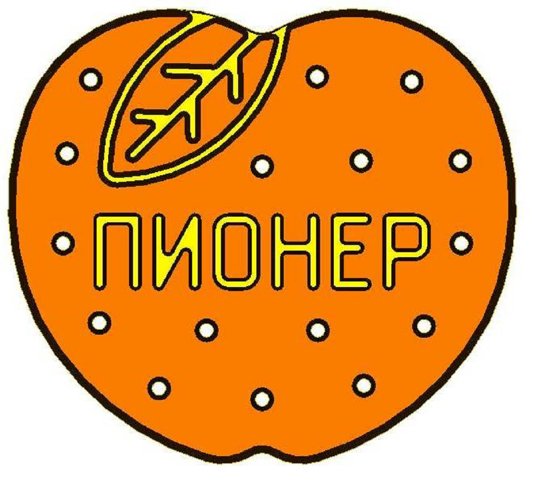 Товарный знак № 73739 «ПИОНЕР»