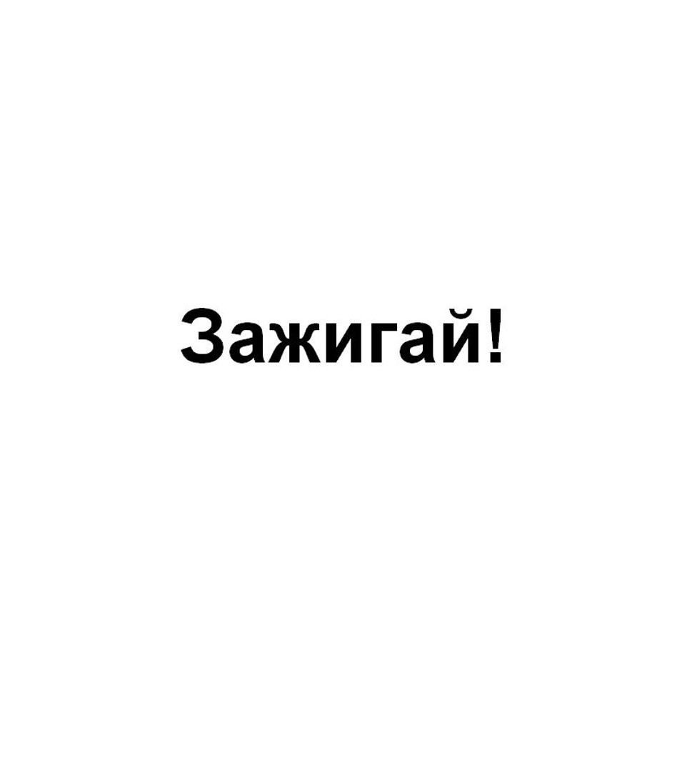 Товарный знак № 74793 «Зажигай!»