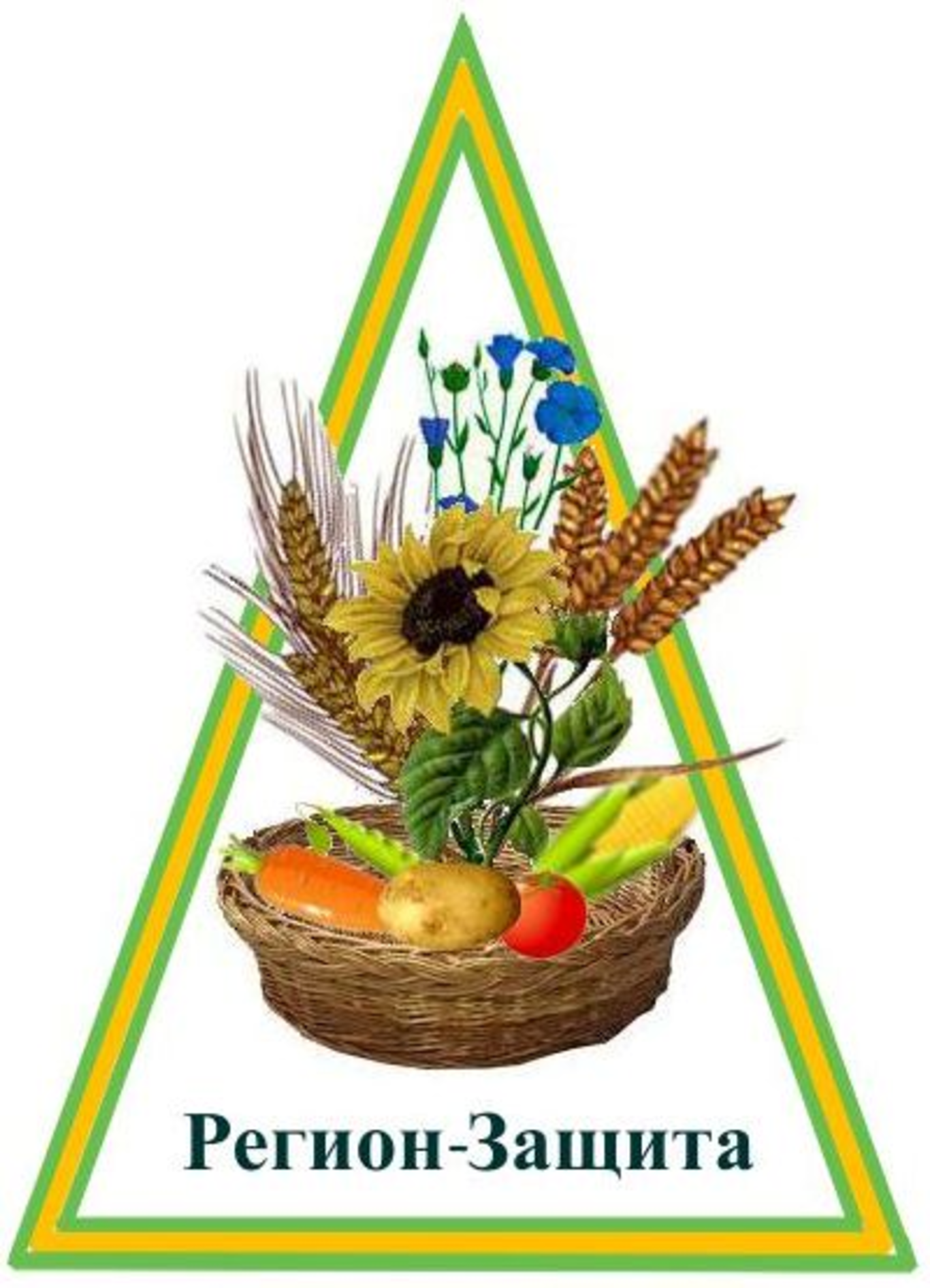 Товарный знак № 74523 «Регион-Защита»