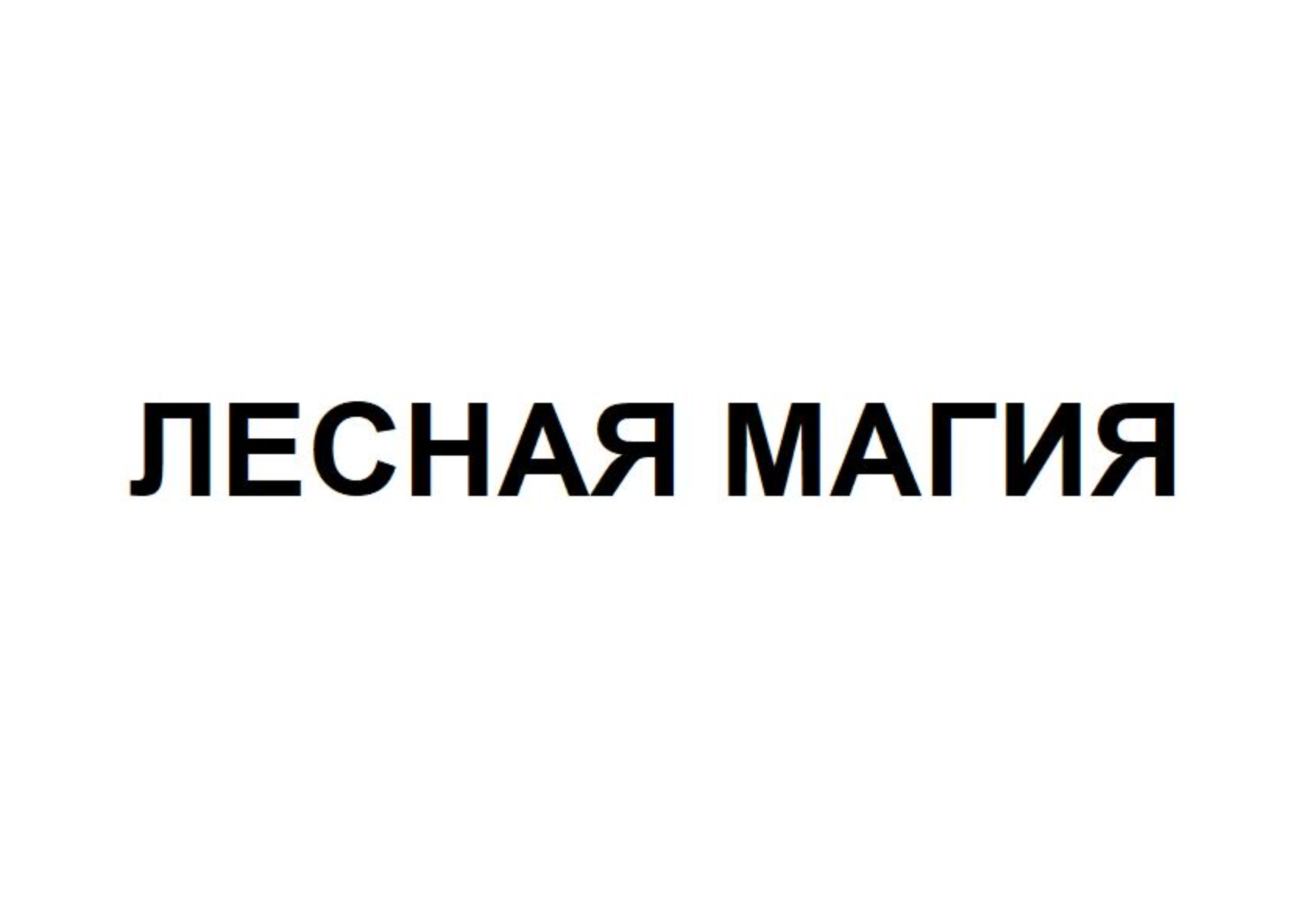 Товарный знак № 74146 «ЛЕСНАЯ МАГИЯ»
