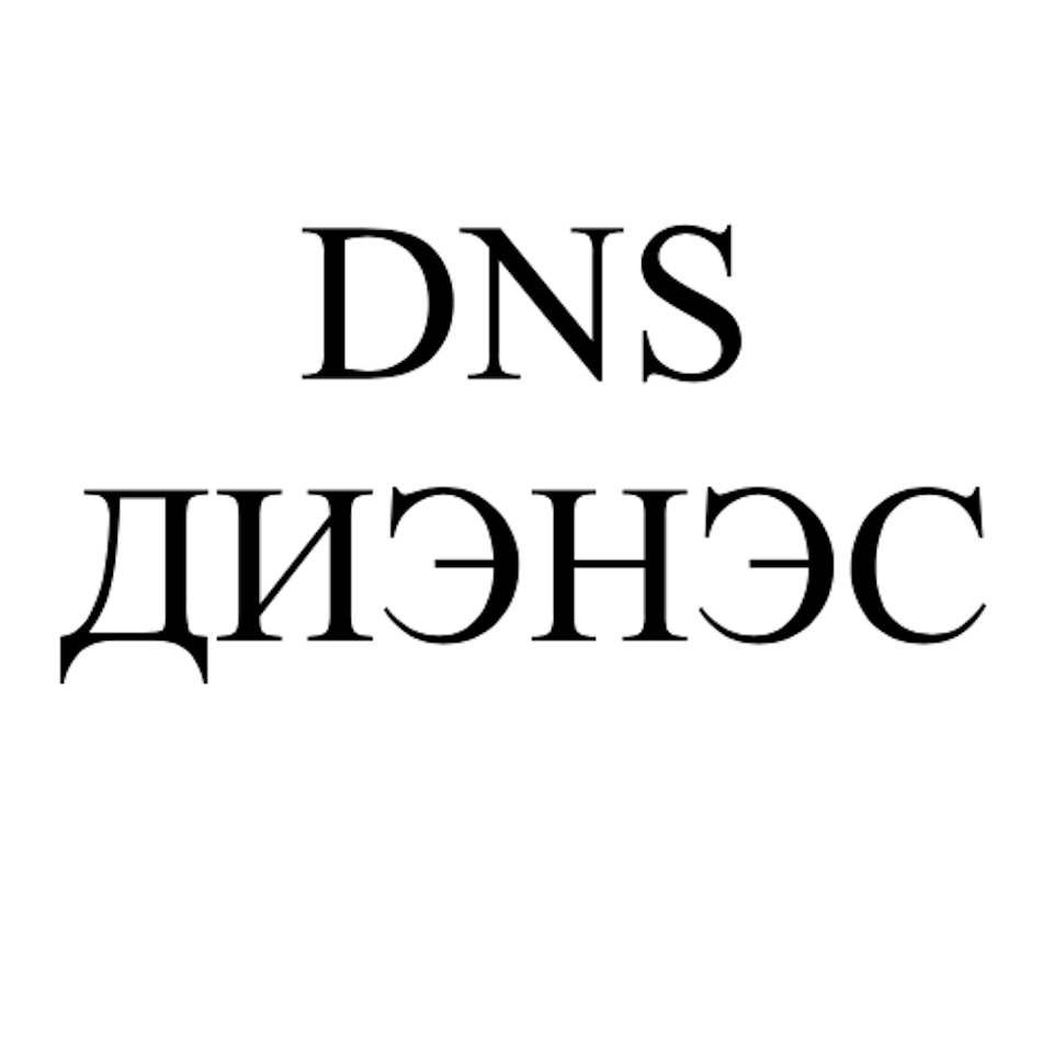 Товарный знак № 74256 «DNS ДИЭНЭС»