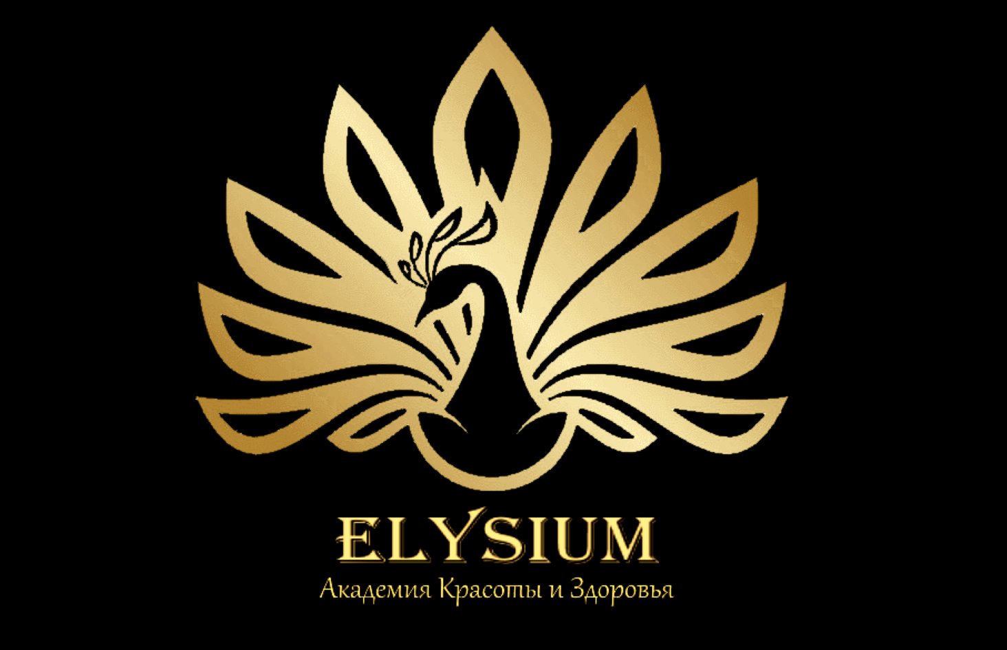 Товарный знак № 74521 «ELYSIUM Академия Красоты и Здоровья»