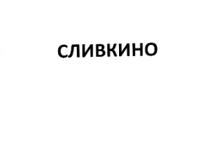 Товарный знак № 76027 «СЛИВКИНО»