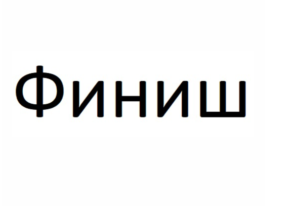 Товарный знак № 76521 «Финиш»