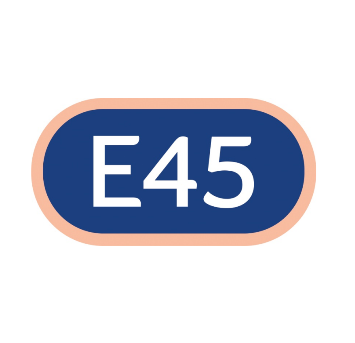 Товарный знак № 77630 «E45»