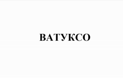 Товарный знак № 77775 «ВАТУКСО»