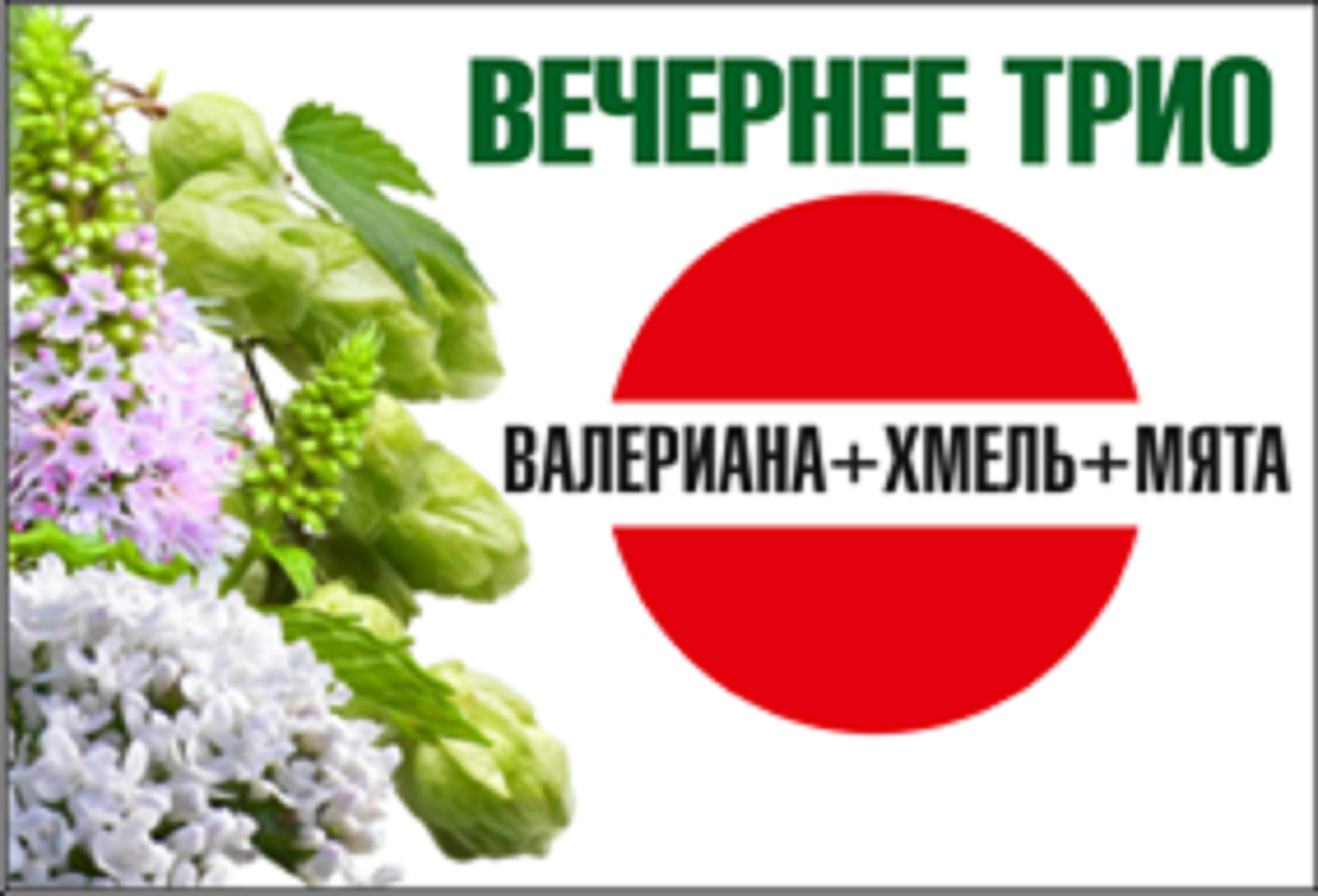 Товарный знак № 75859 «ВЕЧЕРНЕЕ ТРИО ВАЛЕРИАНА + ХМЕЛЬ + МЯТА»