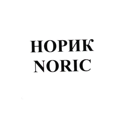 Товарный знак № 81058 «НОРИК NORIC»