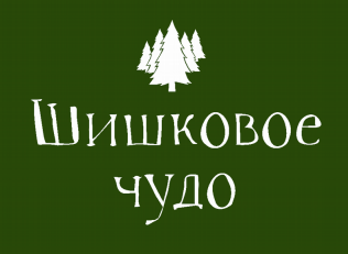 Товарный знак № 82260 «ШИШКОВОЕ ЧУДО»
