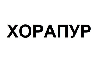 Товарный знак № 84022 «ХОРАПУР»
