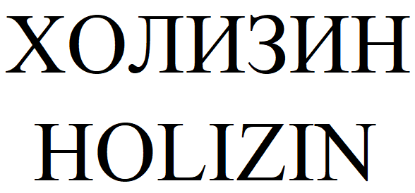 Товарный знак № 86964 «ХОЛИЗИН HOLIZIN»