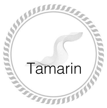 Товарный знак № 87534