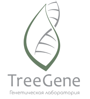 Товарный знак № 89027 «TreeGene Генетическая лаборатория»