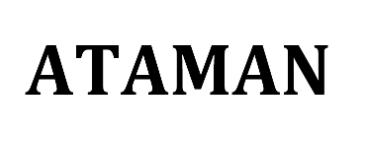Товарный знак № 89378