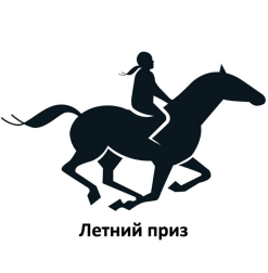 Товарный знак № 90194 «Летний приз»