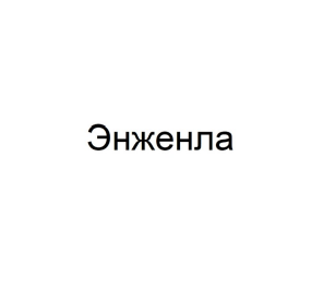 Товарный знак № 91618 «Энженла»