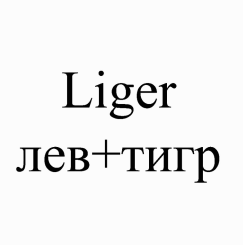 Товарный знак № 91065