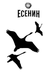 Товарный знак № 95564 «ЕСЕНИН 1»