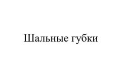 Товарный знак № 91086 «Шальные губки»
