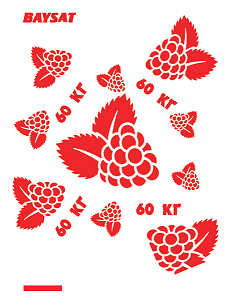 Товарный знак № 96571 «BAYSAT 60кг»