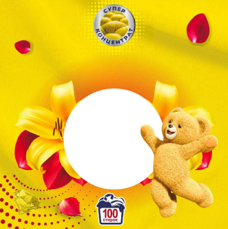 Товарный знак № 108219 «супер концентрат 100 стирок»