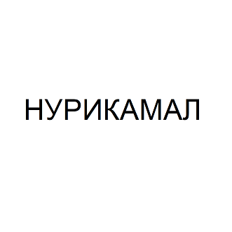 Товарный знак № 102733 «НУРИКАМАЛ»