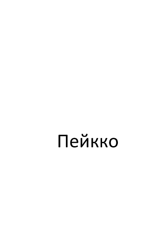 Товарный знак № 103158 «Пейкко»