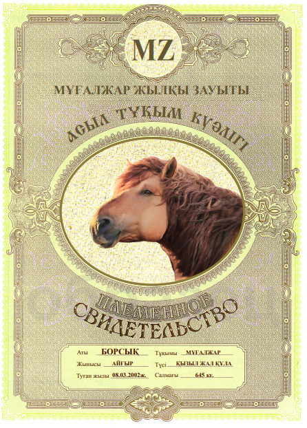 Товарный знак № 107653 «MZ «МҰҒАЛЖАР ЖЫЛҚЫСЫ» ЖШС АСЫЛ ТҰҚҰМ КУ…»