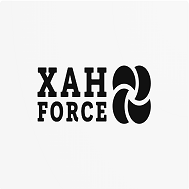 Товарный знак № 107264 «XAH FORCE»