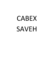 Товарный знак № 105267 «САВЕХ SAVEH»
