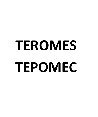 Товарный знак № 105914 «TEROMES ТЕРОМЕС»
