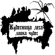 Товарный знак № 105853 «Кудесница леса лавка чудес»