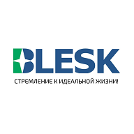 Товарный знак № 111567 «BLESK СТРЕМЛЕНИЕ К ИДЕАЛЬНОЙ ЖИЗНИ!»