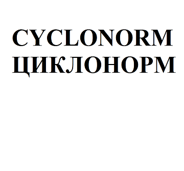 Товарный знак № 111616 «ЦИКЛОНОРМ CYCLONORM»