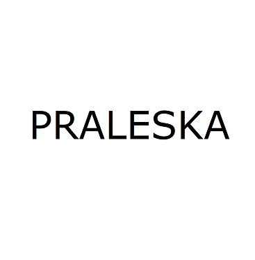Товарный знак № 109001