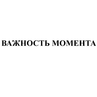 Товарный знак № 110597 «ВАЖНОСТЬ МОМЕНТА»