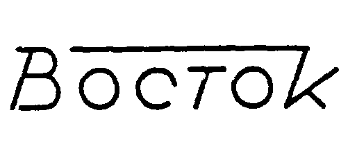 Товарный знак № 3406 «ВОСТОК»