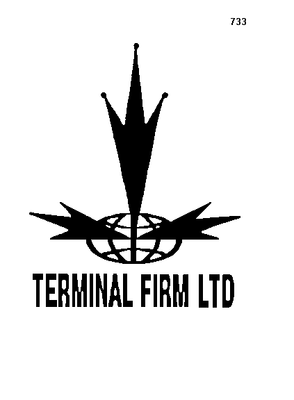 Товарный знак № 317 «ТЕRМINАL FIRМ LТD»