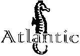 Товарный знак № 10671 «АТLАNТIС»