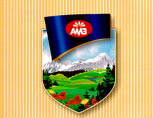 Товарный знак № 14501 «АМЗ»