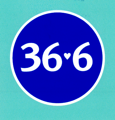 Товарный знак № 23336 «36 6»