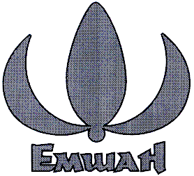 Товарный знак № 17378 «ЕМШАН»