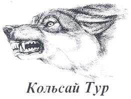 Товарный знак № 17550 «Кольсай Тур»