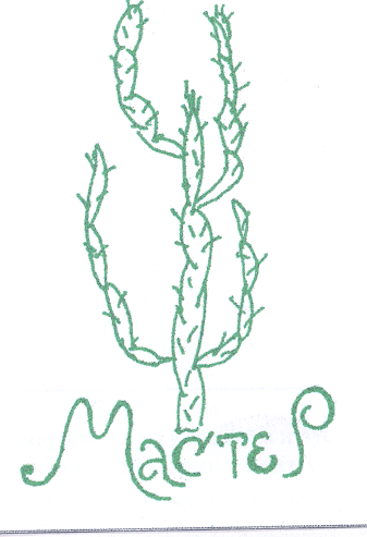 Товарный знак № 19336 «МАСТЕР»